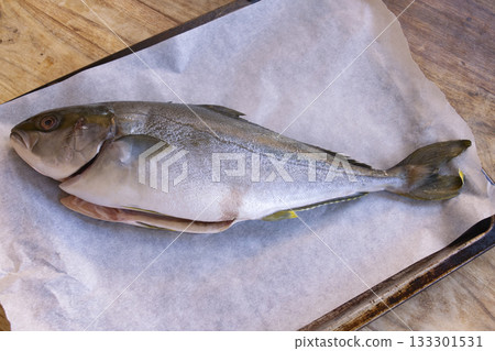 fresh yellowtail fish on parchment paper ready for cooking preparation fresh yellowtail fish on parchment paper ready for cooking preparation 133301531