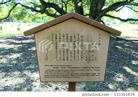 春日大社樟樹資訊板 133301679