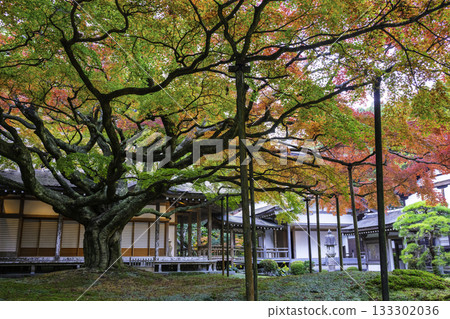 雷山仙人寺大鳳凰院（福岡縣糸島市）的秋色 133302036