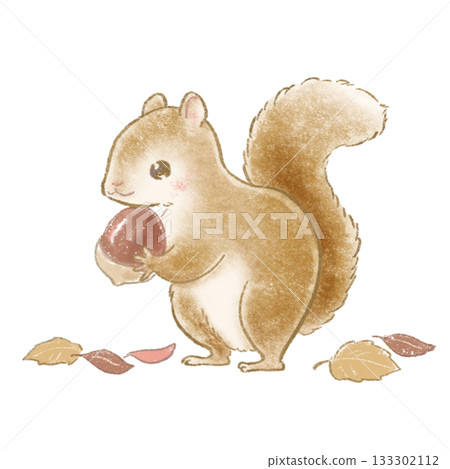 一隻可愛的小松鼠抱著一顆橡子，用柔和的色鉛筆風格繪製而成。 133302112