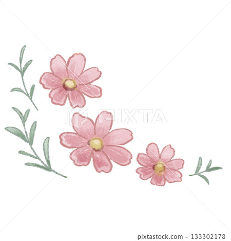 An autumnal pink cosmos illustration drawn with soft colored pencils 133302178