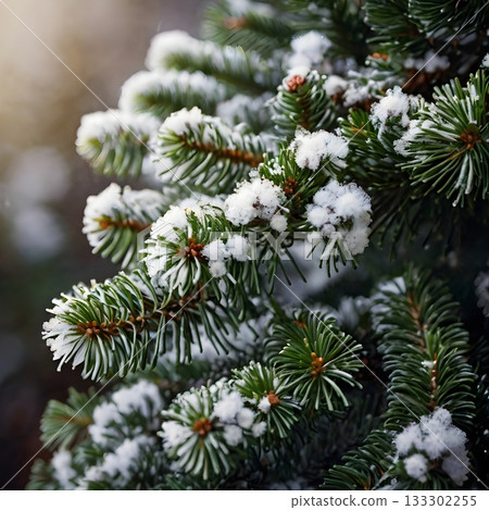 Winter Juniper Mint 133302255