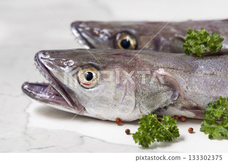 Fresh European hake fish on marble table with parsley, Raw uncooked Merluccius close-up 133302375