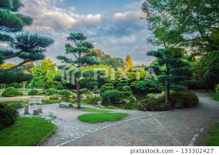 Topiary pine trees  in the Japanese garden at Park Nord in Dusseldorf  and pond in right direction 133302427