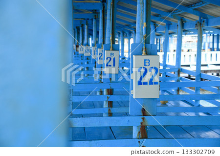 Symmetrical blue structure of an empty dock with numbered sections and beams Symmetrical blue structure of an empty dock with numbered sections and beams 133302709
