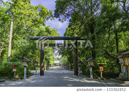 Miyazaki Shrine Torii Gate, Miyazaki City, Miyazaki Prefecture Miyazaki Shrine Torii Gate, Miyazaki City, Miyazaki Prefecture 133302852