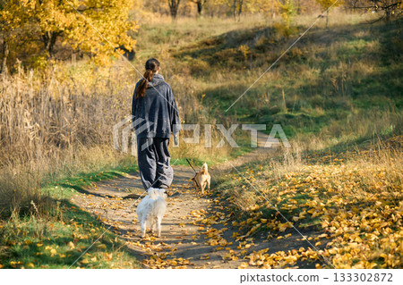 Back view of young woman walking with her dogs in autumn forest. 133302872