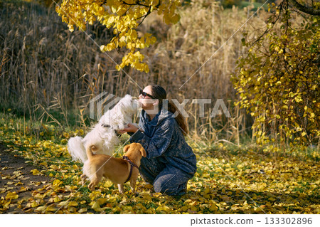 Happy woman resting and playing with her cute dogs at autumn park outdoors enjoying time together 133302896