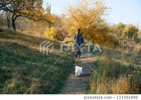 Back view of young woman walking with her dogs in autumn forest. 133302899