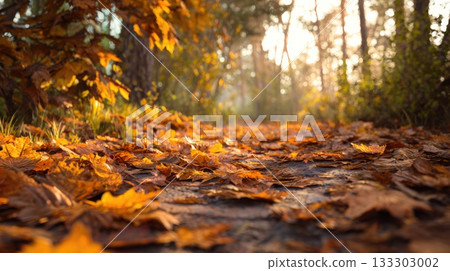 Autumn Leaves Cover a Path in Golden Light, Creating Warm, Peaceful Fall Mood 133303002