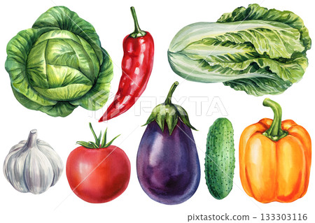 Vegetables set with cabbage chili lettuce garlic tomato eggplant cucumber and bell pepper. Watercolor fresh organic kitchen design 133303116
