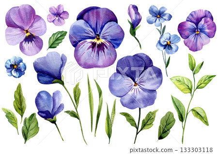 Purple pansies and blue wildflowers with green leaves and botanical stems for Watercolor spring floral design elements set 133303118