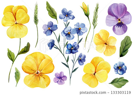 Watercolor pansies and blue wildflowers with green leaves and botanical stems for bright spring floral design elements set Watercolor pansies and blue wildflowers with green leaves and botanical stems for bright spring floral design elements set 133303119