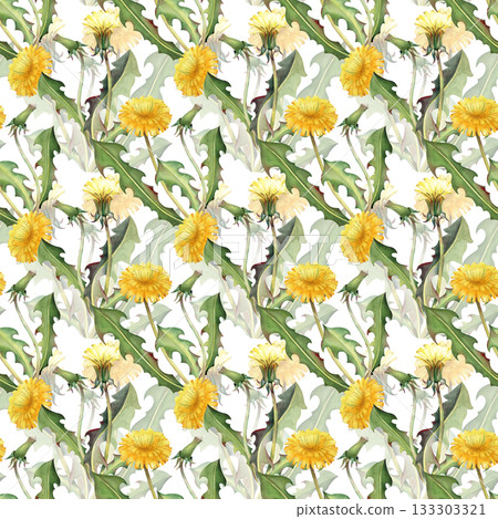 Watercolor seamless pattern with yellow dandelions. Botanical illustration with wildflowers and green leaves on a white background. 133303321