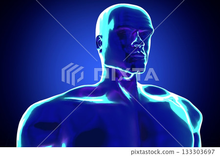 Male anatomy - head and chest - 3d illustration Male anatomy - head and chest - 3d illustration 133303697