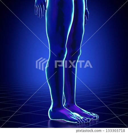 Male anatomy - close-up on legs - 3d illustration 133303718