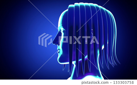 Female anatomy - head - 3d illustration Female anatomy - head - 3d illustration 133303758