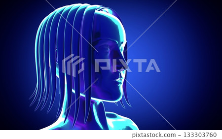Female anatomy - head - 3d illustration Female anatomy - head - 3d illustration 133303760