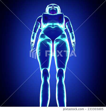 Female anatomy - standing model - 3d illustration 133303805