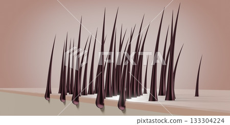 Healthy hair follicles and skin under microscope - 3D illustration 133304224