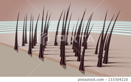Hair follicles - regeneration concept - 3D illustration 133304228