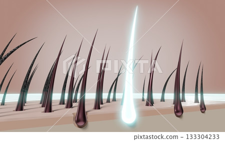 Hair follicles - regeneration concept - 3D illustration 133304233