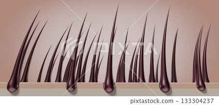 Healthy hair follicles and skin under microscope - 3D illustration 133304237