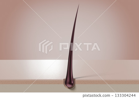 Single hair follicle - 3D illustration Single hair follicle - 3D illustration 133304244