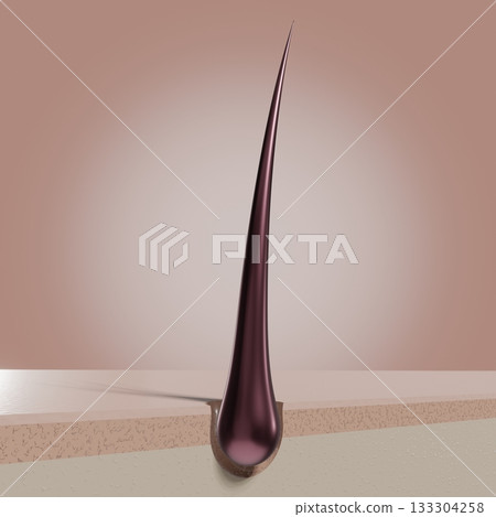 Single hair follicle - 3D illustration Single hair follicle - 3D illustration 133304258