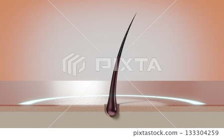 Single hair follicle and round glow - regeneration concept - 3D illustration 133304259