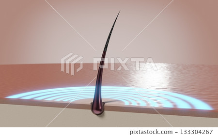 Single hair follicle and round glow - regeneration concept - 3D illustration Single hair follicle and round glow - regeneration concept - 3D illustration 133304267