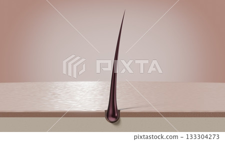 Single hair follicle - 3D illustration Single hair follicle - 3D illustration 133304273