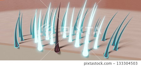 Hair follicles - regeneration concept - 3D illustration 133304503