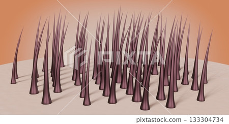 Healthy hair follicles and skin under microscope - 3D illustration 133304734
