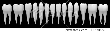 Set of healthy human teeth - 3D illustration 133304800