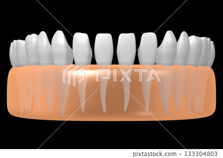 Set of healthy human teeth and gum - 3D illustration 133304803