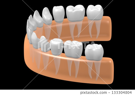 Set of healthy human teeth and gum - 3D illustration 133304804