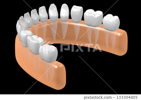 Set of healthy human teeth and gum - 3D illustration Set of healthy human teeth and gum - 3D illustration 133304805