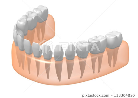 Set of healthy teeth in gum - 3D illustration Set of healthy teeth in gum - 3D illustration 133304850