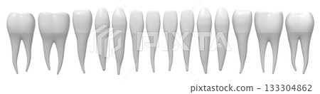 Set of healthy human teeth - 3D illustration Set of healthy human teeth - 3D illustration 133304862