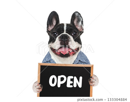 Cute puppy and signboard with inscription OPEN Cute puppy and signboard with inscription OPEN 133304884