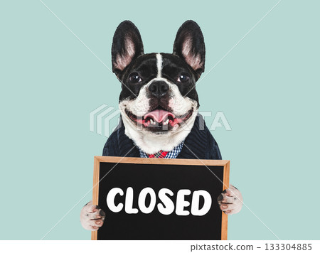 Cute puppy and signboard with inscription CLOSED Cute puppy and signboard with inscription CLOSED 133304885