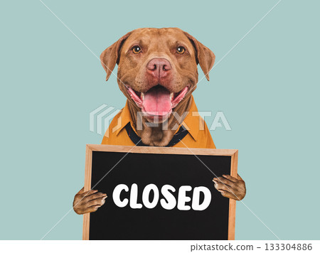 Cute dog and signboard with inscription CLOSED Cute dog and signboard with inscription CLOSED 133304886