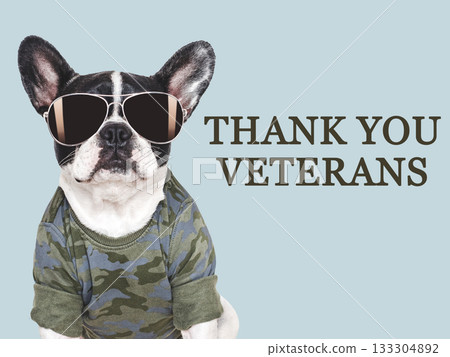 Veterans Day. Adorable puppy, American Flag and congratulatory inscription 133304892