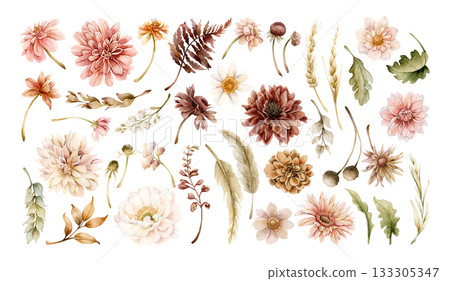 Autumn flowers leaves set. Fall plants Dahlia Chrysanthemum Daisy. Watercolor hand drawn floral illustration isolated on white background for wedding home textile cosmetic package porcelain crockery Autumn flowers leaves set. Fall plants Dahlia Chrysanthemum Daisy. Watercolor hand drawn floral illustration isolated on white background for wedding home textile cosmetic package porcelain crockery 133305347