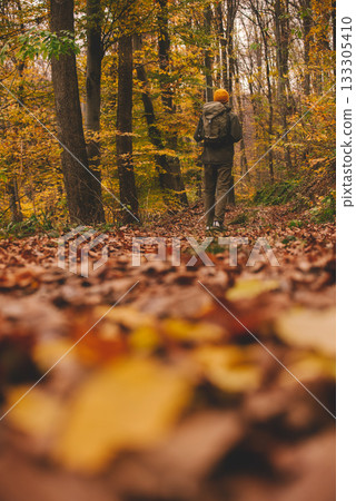 Person Hiking in Forest during Autumn Season 133305410
