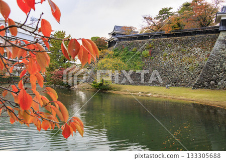 Matsue Castle, a national treasure, is at its best when the autumn leaves are in full bloom 133305688