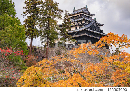 作為國寶級古城，松江城在秋葉盛開時最迷人。 133305690