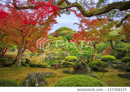 Yushien Garden - Autumn foliage illumination Yushien Garden - Autumn foliage illumination 133306325