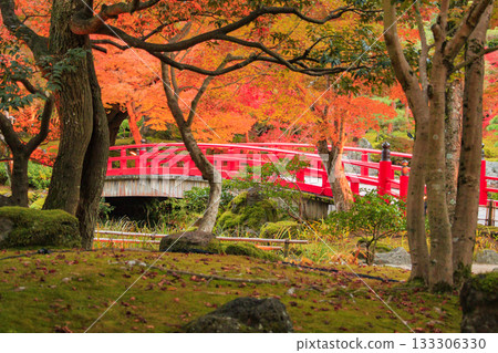 Yushien Garden - Autumn foliage illumination 133306330
